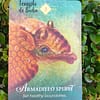Spiritual Animal Oracle of Colette Baron-Reid in English