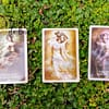 Alana Fairchild's Kuan Yin Oracle in English - Image 5