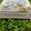 Alana Fairchild's Kuan Yin Oracle in English - Image 9