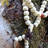 Japa Mala Sândalo Branco 8mm