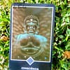 Kit Tarot Osho Zen de Ma Deva Padma em Português - Image 10