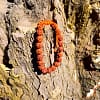 Pulseira Rudraksha Regulavel