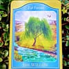 Tarot Akashic de Sharon Anne Klingler&Sandra Anne Taylor en Inglés - Imagen 5