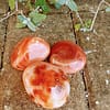 Corniola ricamata extra grande 10cm - immagine 2