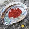 Rote Sandale in Po – Bild 2