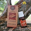 Cinnamon Goloka 100% Natural Essential Oil - Image 2