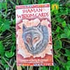 Shaman Wisdom Cards by Leita Richesson in English - Image 3