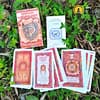 Shaman Wisdom Cards by Leita Richesson in English - Image 2