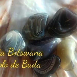 Agata Botswana
