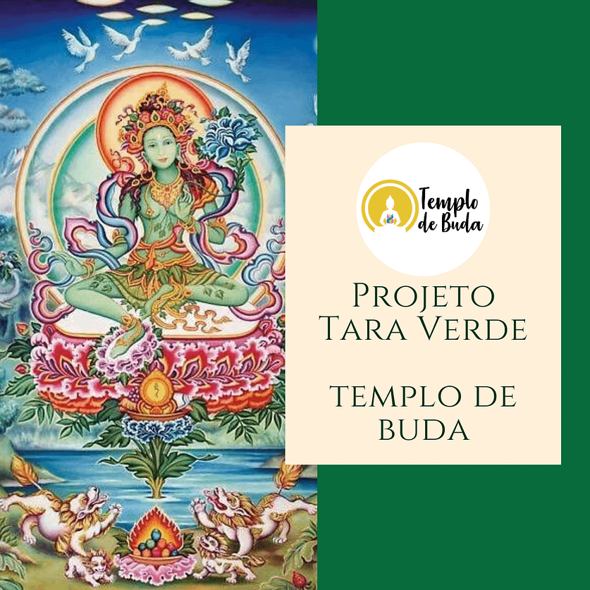 Projeto Tara Verde