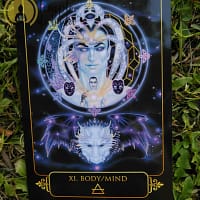 Tarot Sonhos de Gaia de Ravynne Phelan em Inglês