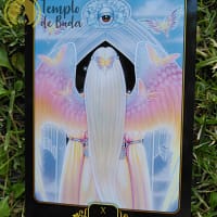 Tarot Sonhos de Gaia de Ravynne Phelan em Inglês