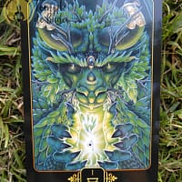 Tarot Sonhos de Gaia de Ravynne Phelan em Inglês