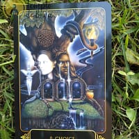Tarot Sonhos de Gaia de Ravynne Phelan em Inglês