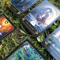 Tarot Sonhos de Gaia de Ravynne Phelan em Inglês