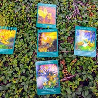 Tarot dos Anjos de Radleigh Valentine & Doreen Virtue em Espanhol - Image 5