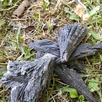 Cianita Negra (Vassoura de Bruxa)