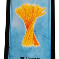 Oráculo das Bruxas de Claudiney Prieto