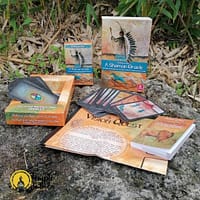 A Shaman Oracle de Wulfing von Rohr em Inglês