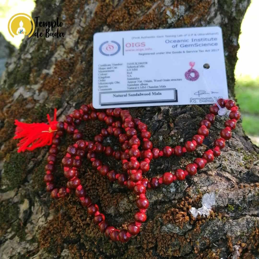 Japa Mala Sandalo Vermelho Original 6mm