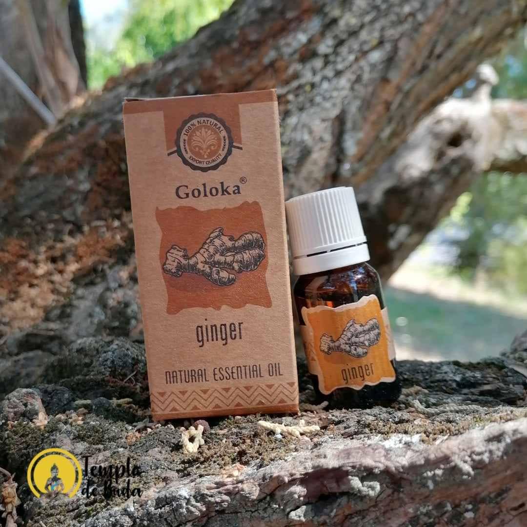 Óleo Essencial 100% Natural Gengibre Goloka