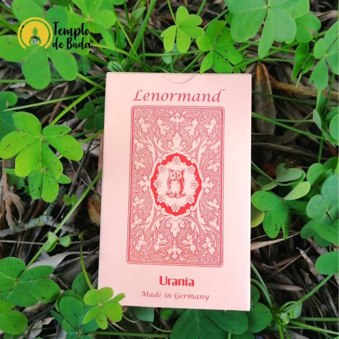 Baralho Lenormand Red Owl em Inglês - Image 3