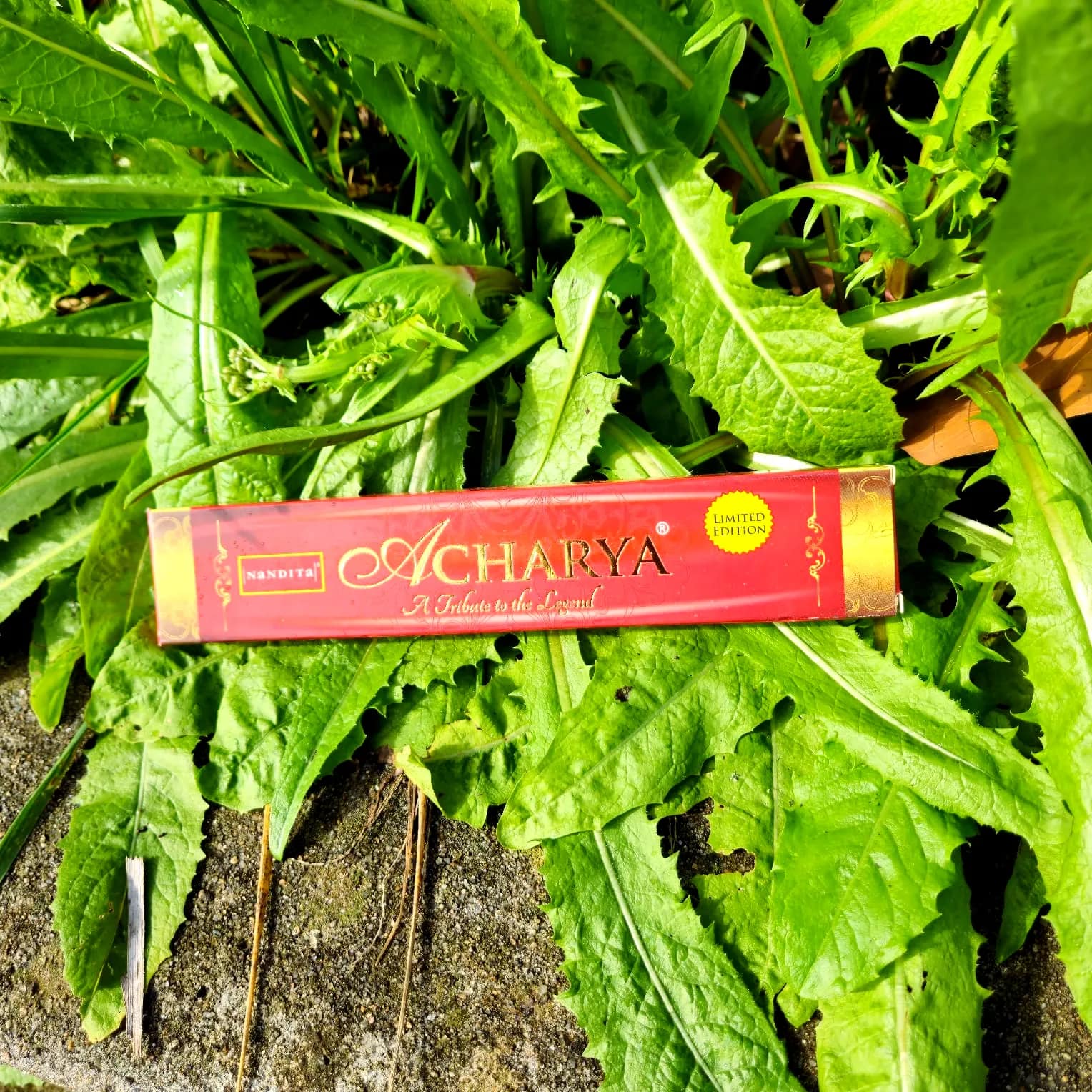 Incenso Nandita Acharya