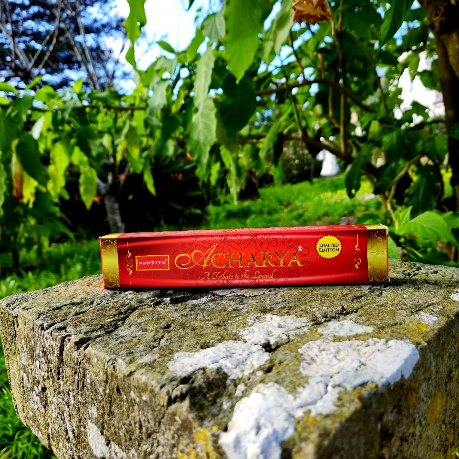 Incenso Nandita Acharya