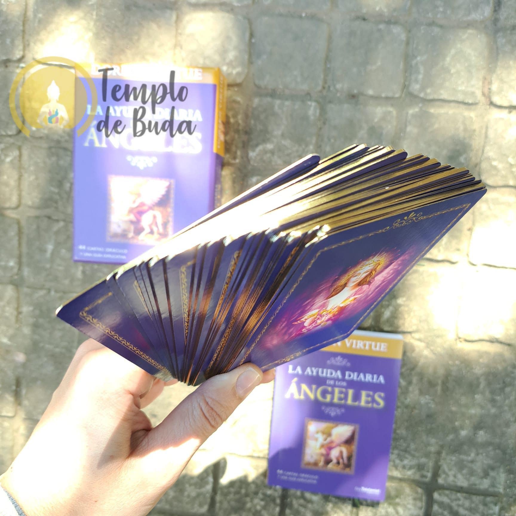 Oraculo A Ajuda Diária dos Anjos Doreen Virtue em Espanhol