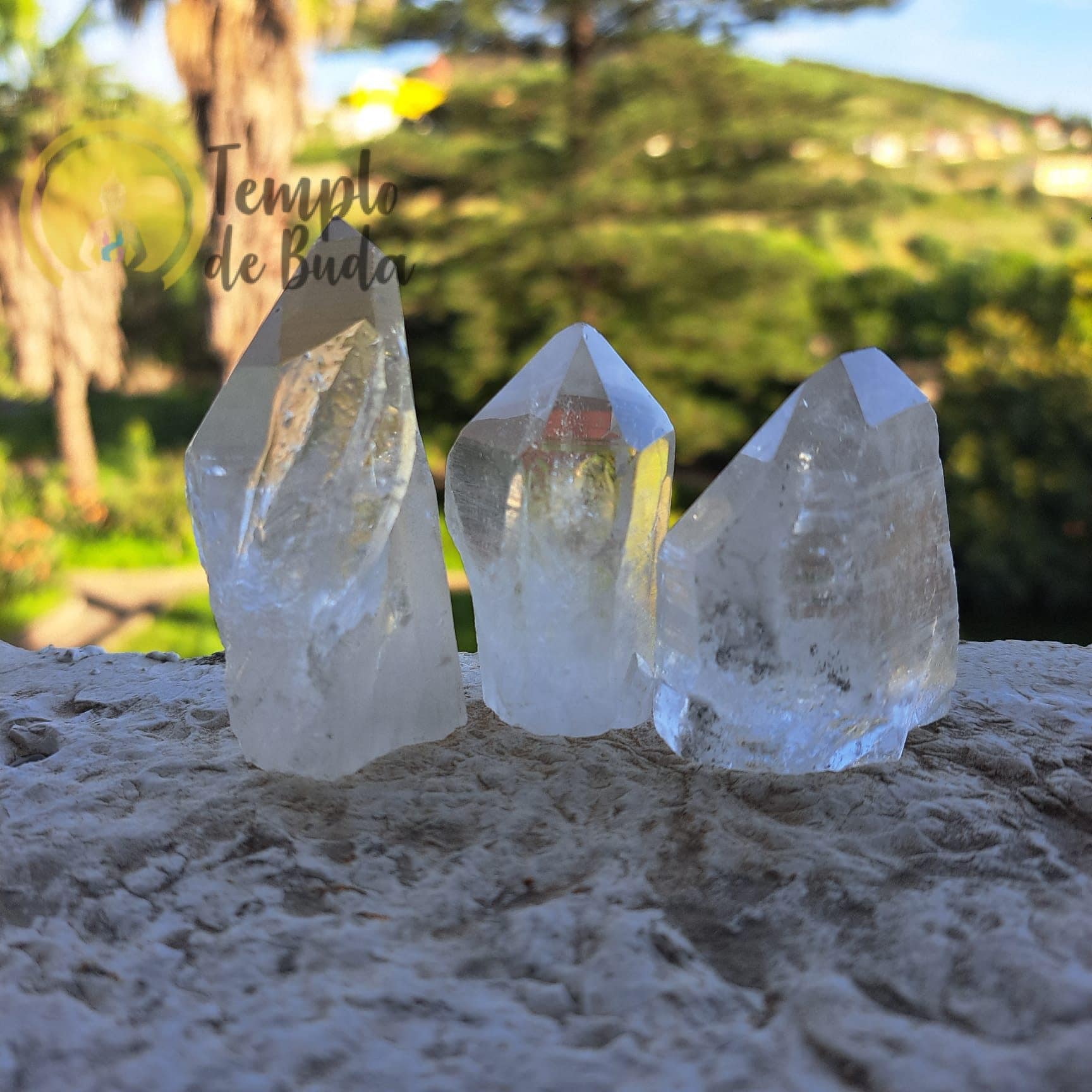 Pontas de Cristal Lemuriano com Base