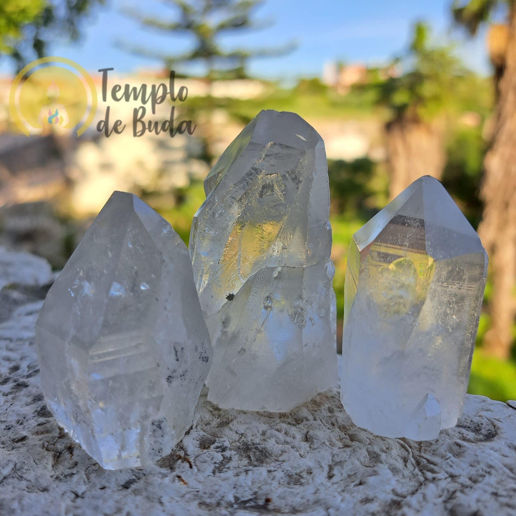 Pontas de Cristal Lemuriano com Base