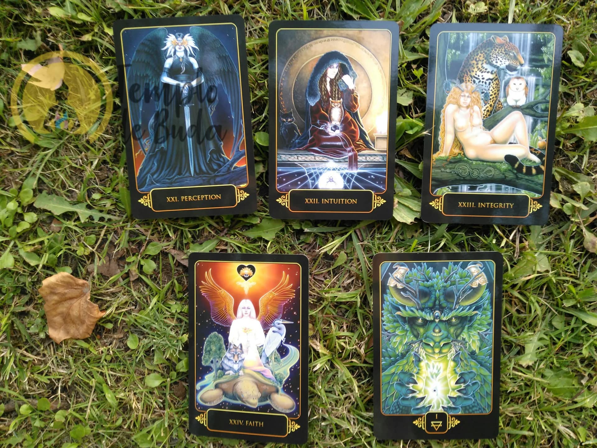 Tarot Sonhos de Gaia de Ravynne Phelan em Inglês