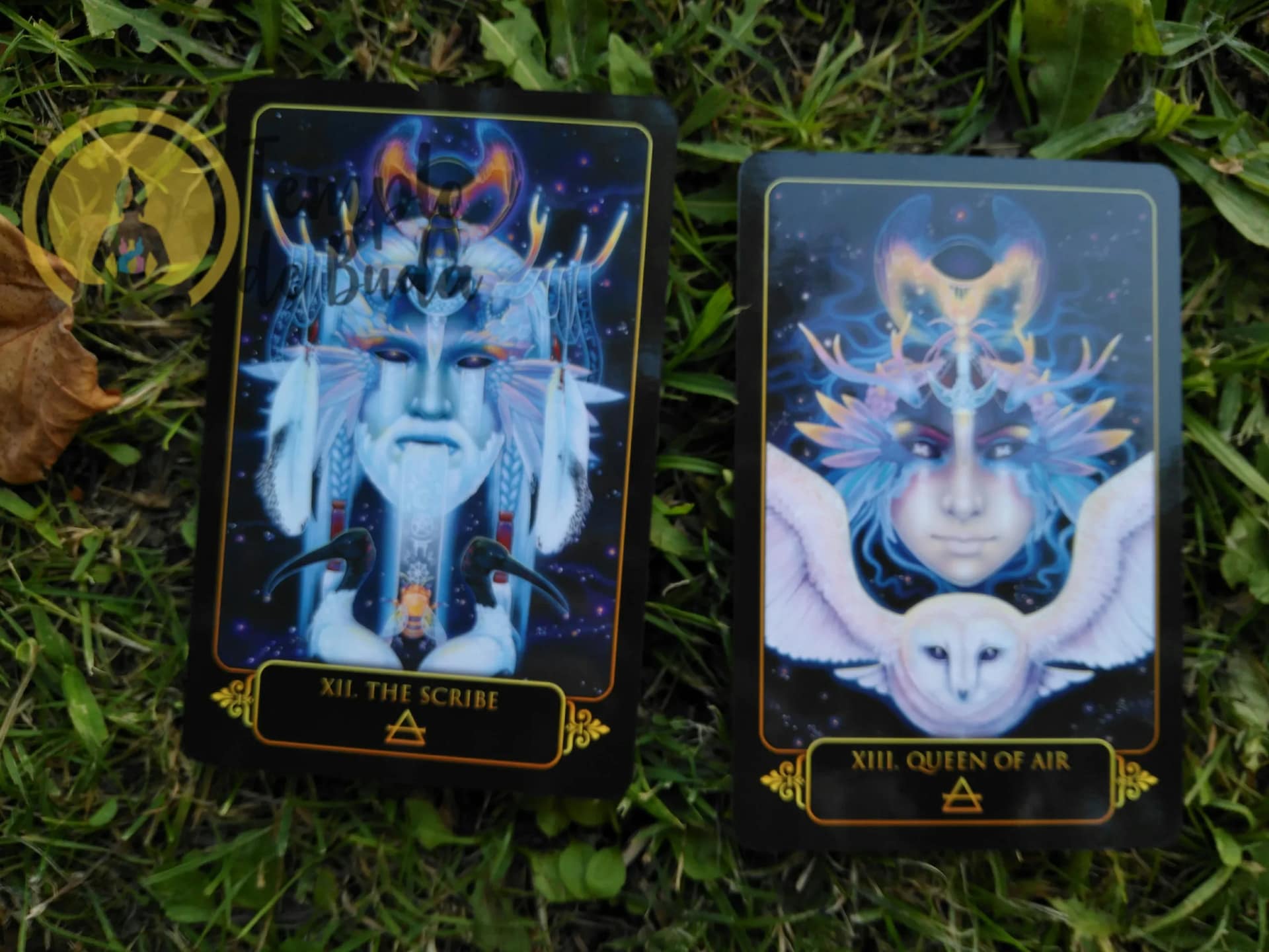 Tarot Sonhos de Gaia de Ravynne Phelan em Inglês