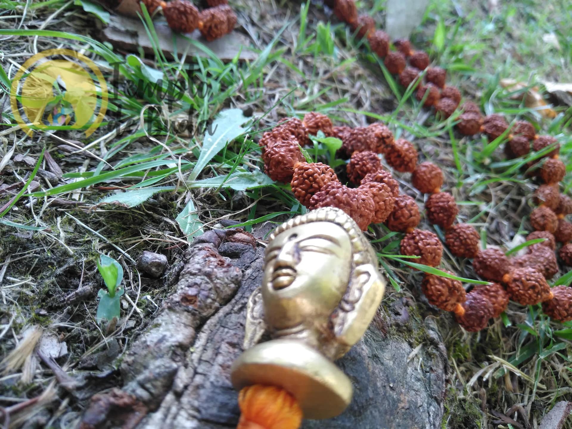 Japa Mala Rudraksha Buda