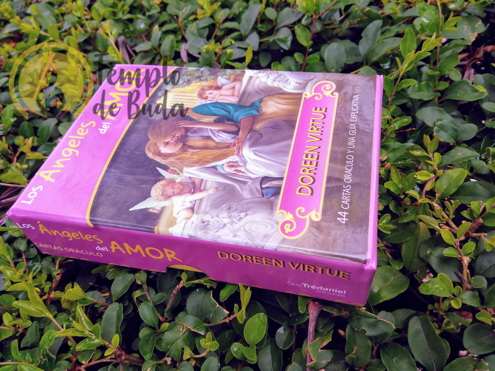 Oráculo Anjos do Romance de Doreen Virtue em Espanhol - Image 11
