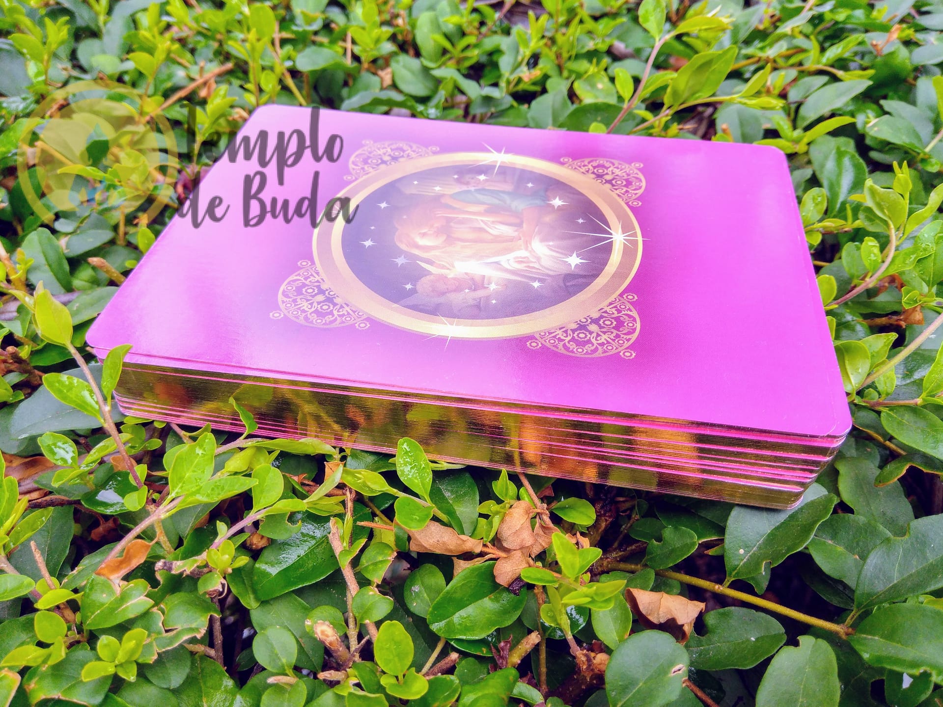 Oráculo Anjos do Romance de Doreen Virtue em Espanhol - Image 9