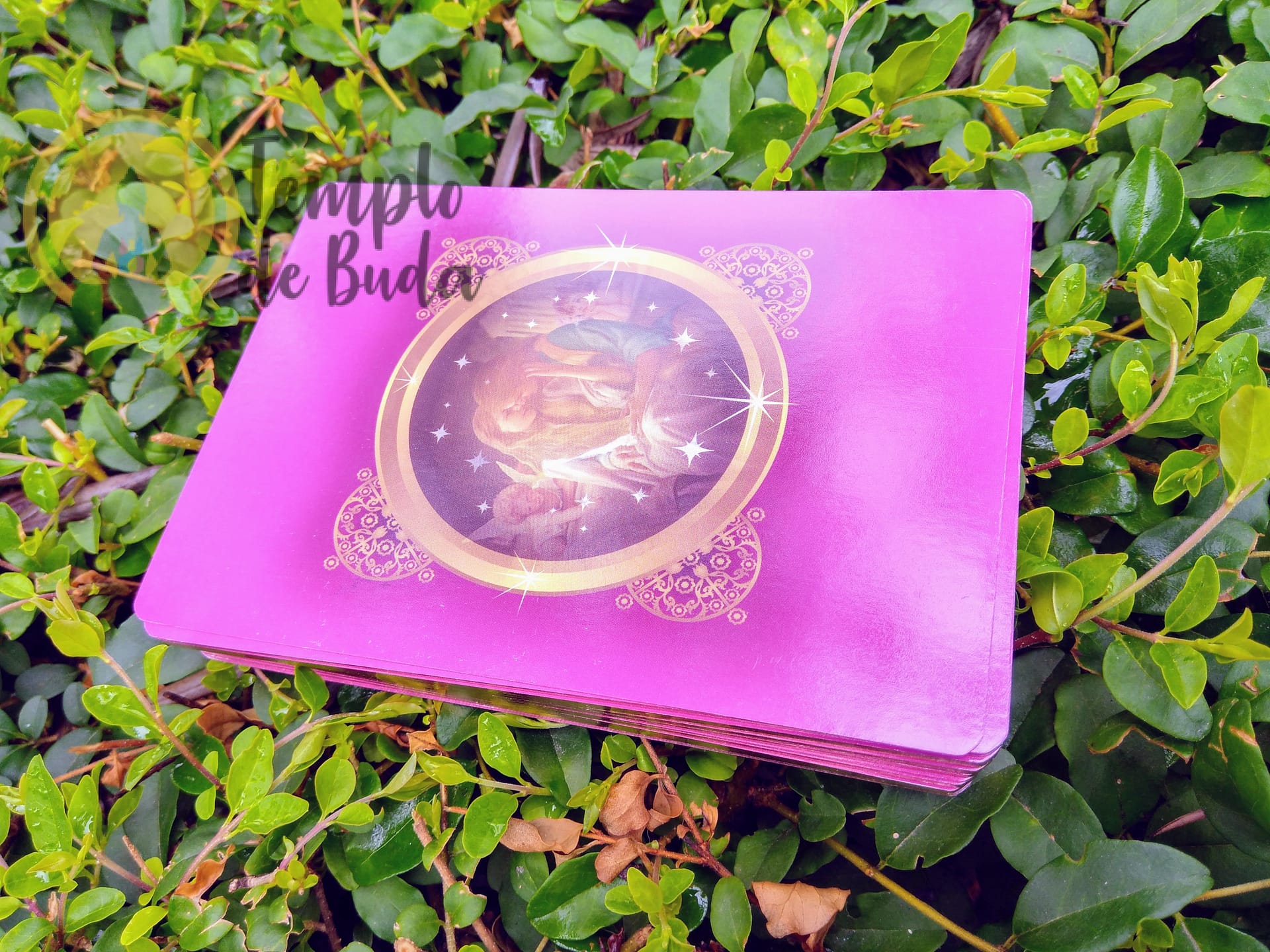 Oráculo Anjos do Romance de Doreen Virtue em Espanhol - Image 8