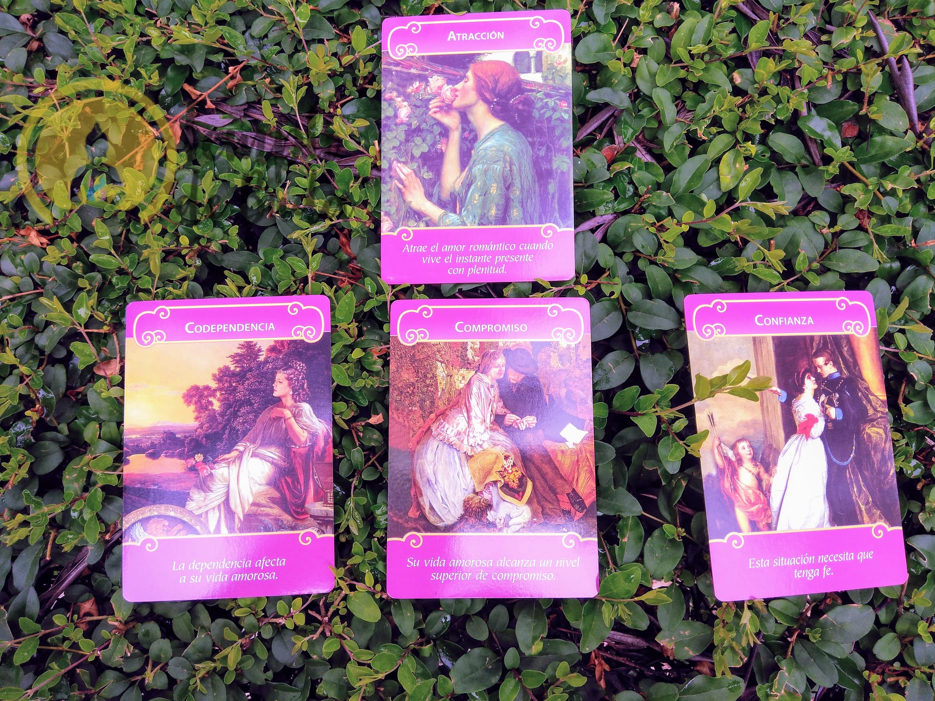 Oráculo Anjos do Romance de Doreen Virtue em Espanhol - Image 7