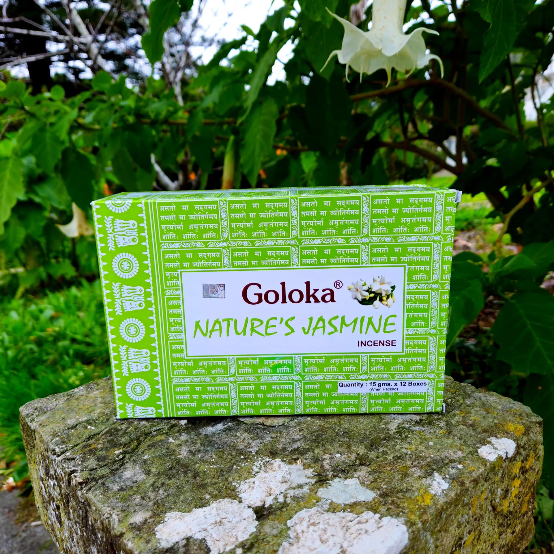 Incenso Goloka Nature Jasmine Caixa