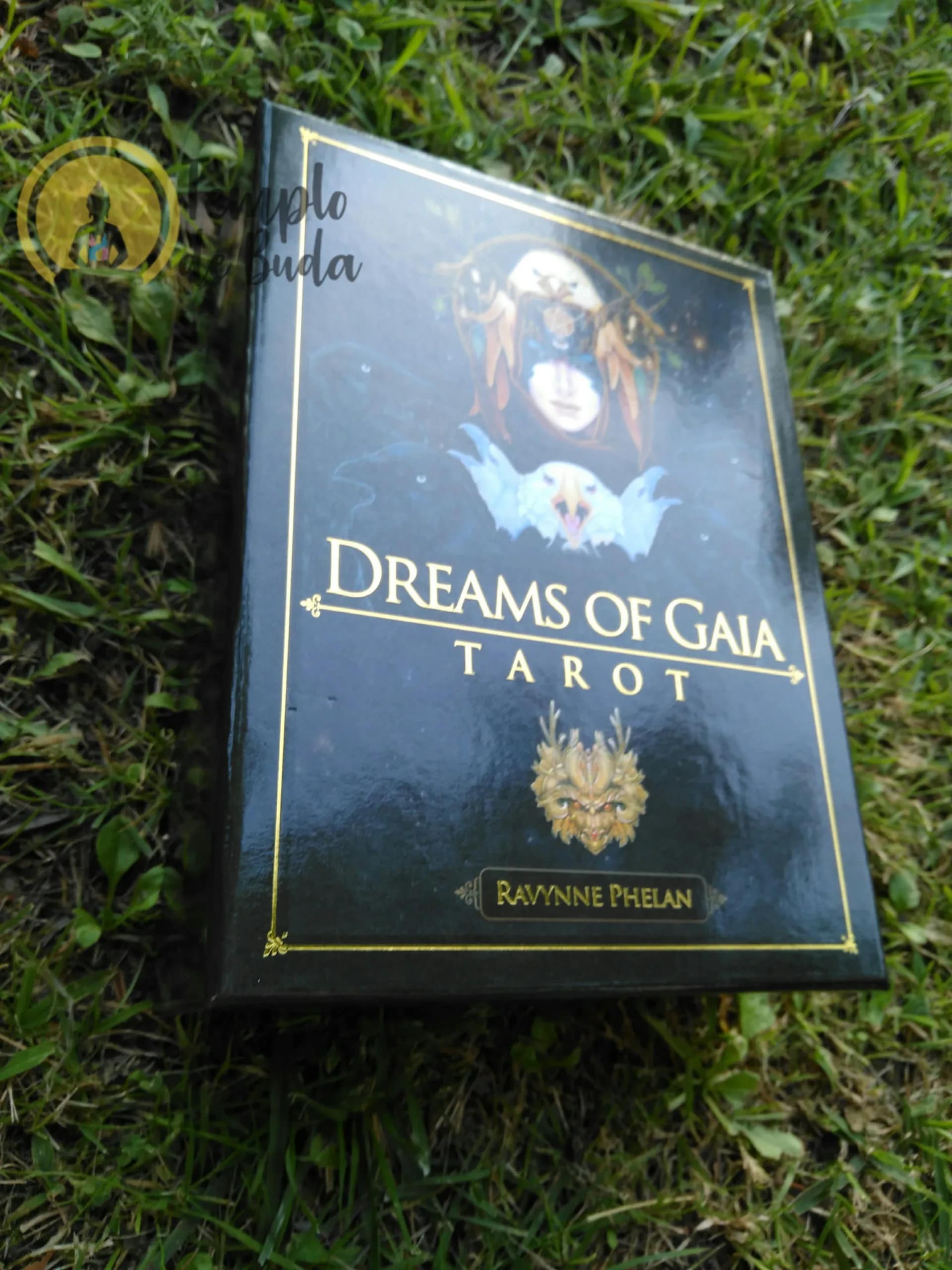 Tarot Sonhos de Gaia de Ravynne Phelan em Inglês