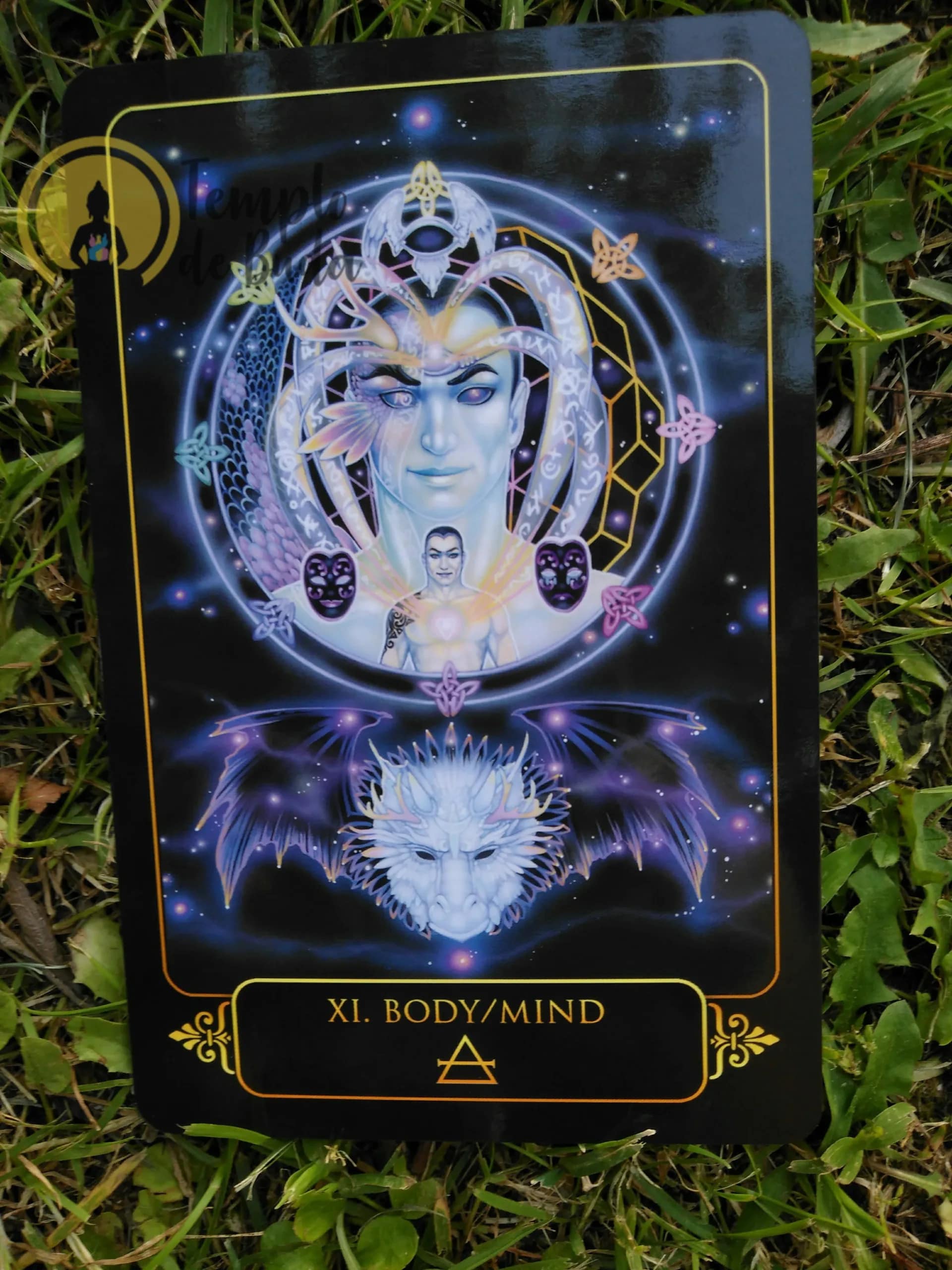 Tarot Sonhos de Gaia de Ravynne Phelan em Inglês