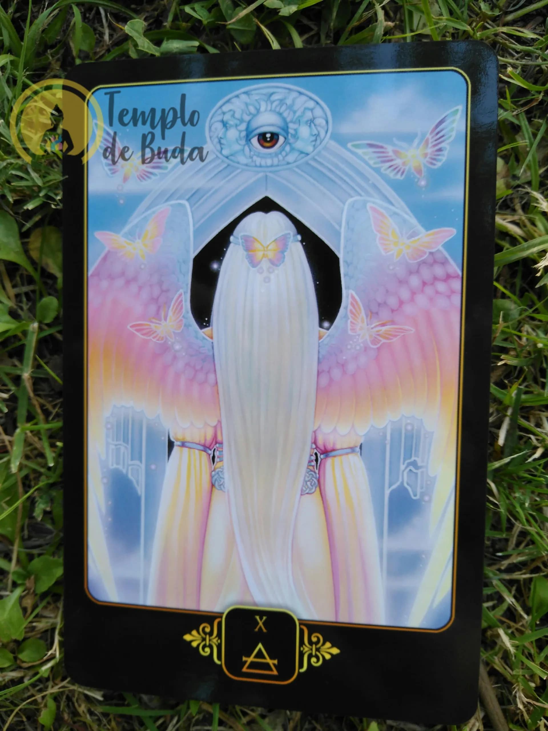 Tarot Sonhos de Gaia de Ravynne Phelan em Inglês