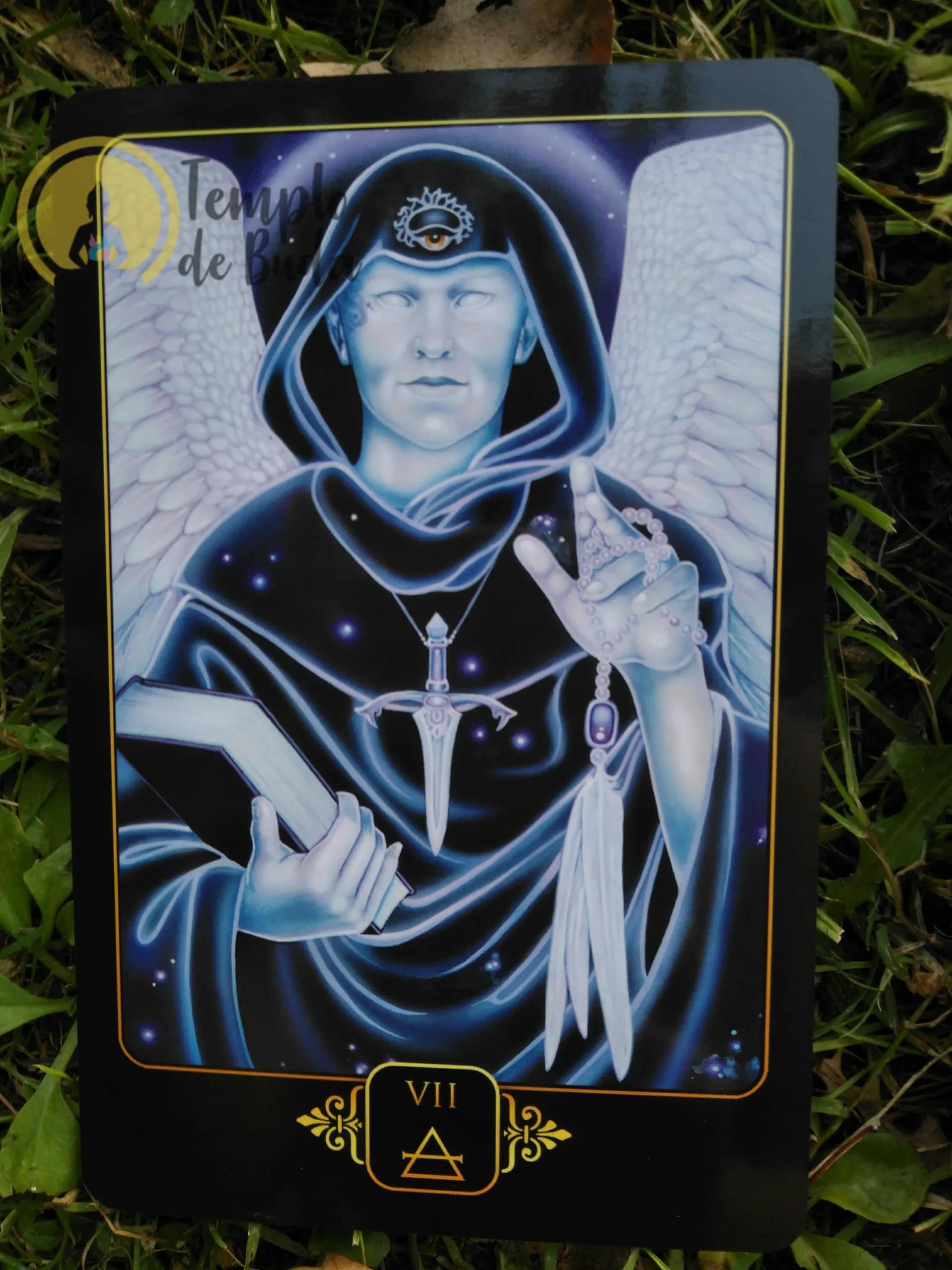 Tarot Sonhos de Gaia de Ravynne Phelan em Inglês