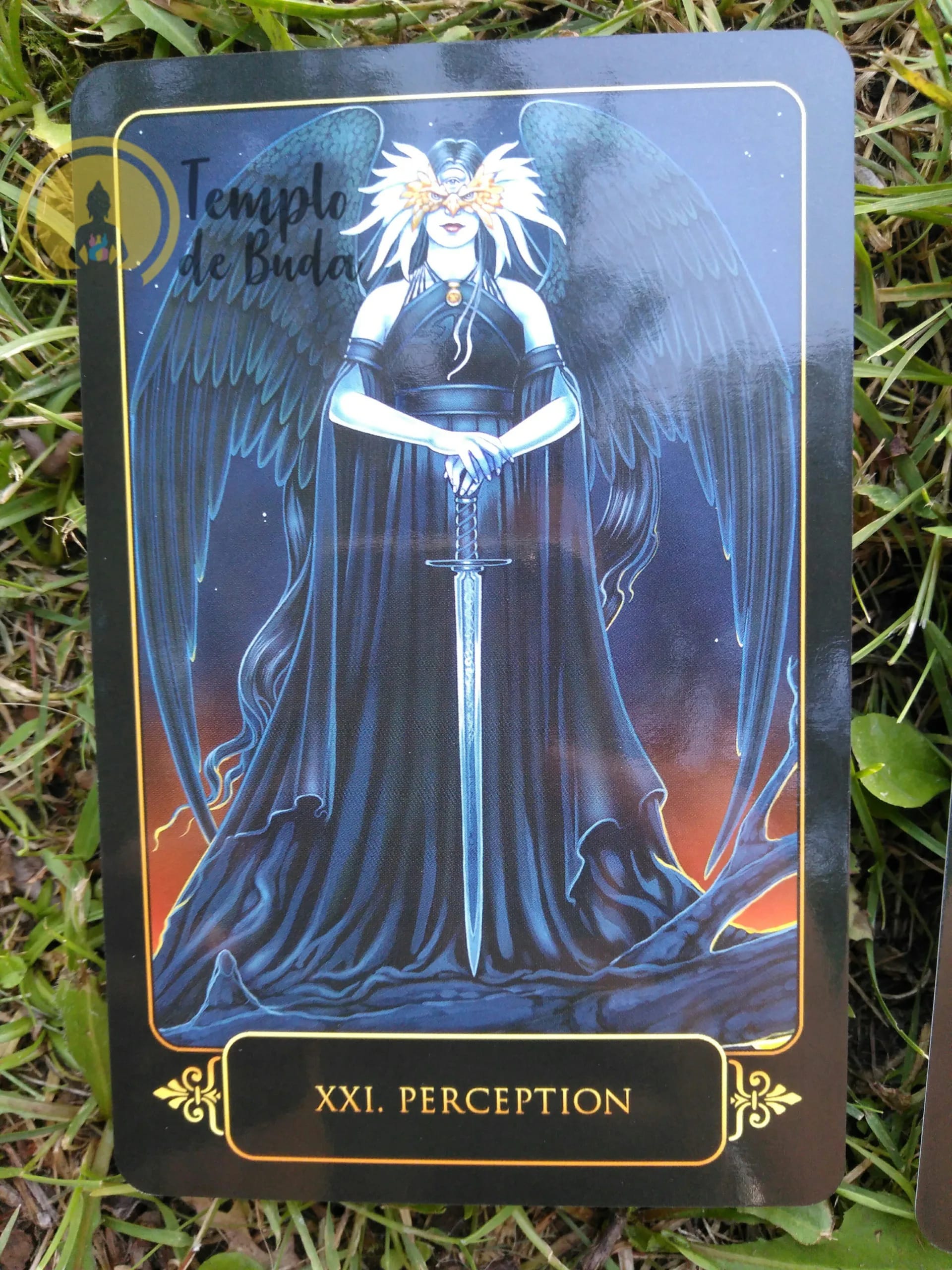 Tarot Sonhos de Gaia de Ravynne Phelan em Inglês