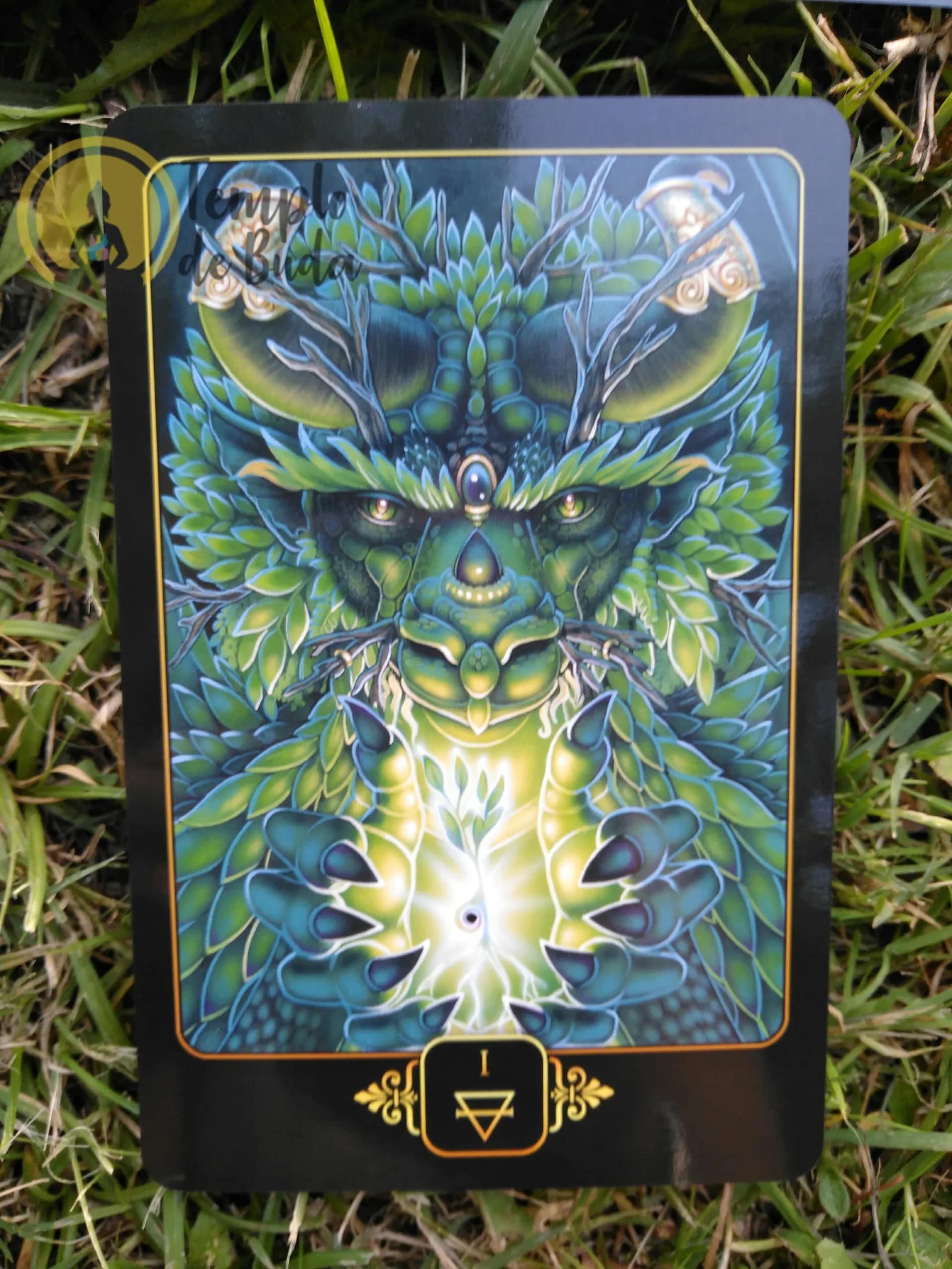 Tarot Sonhos de Gaia de Ravynne Phelan em Inglês