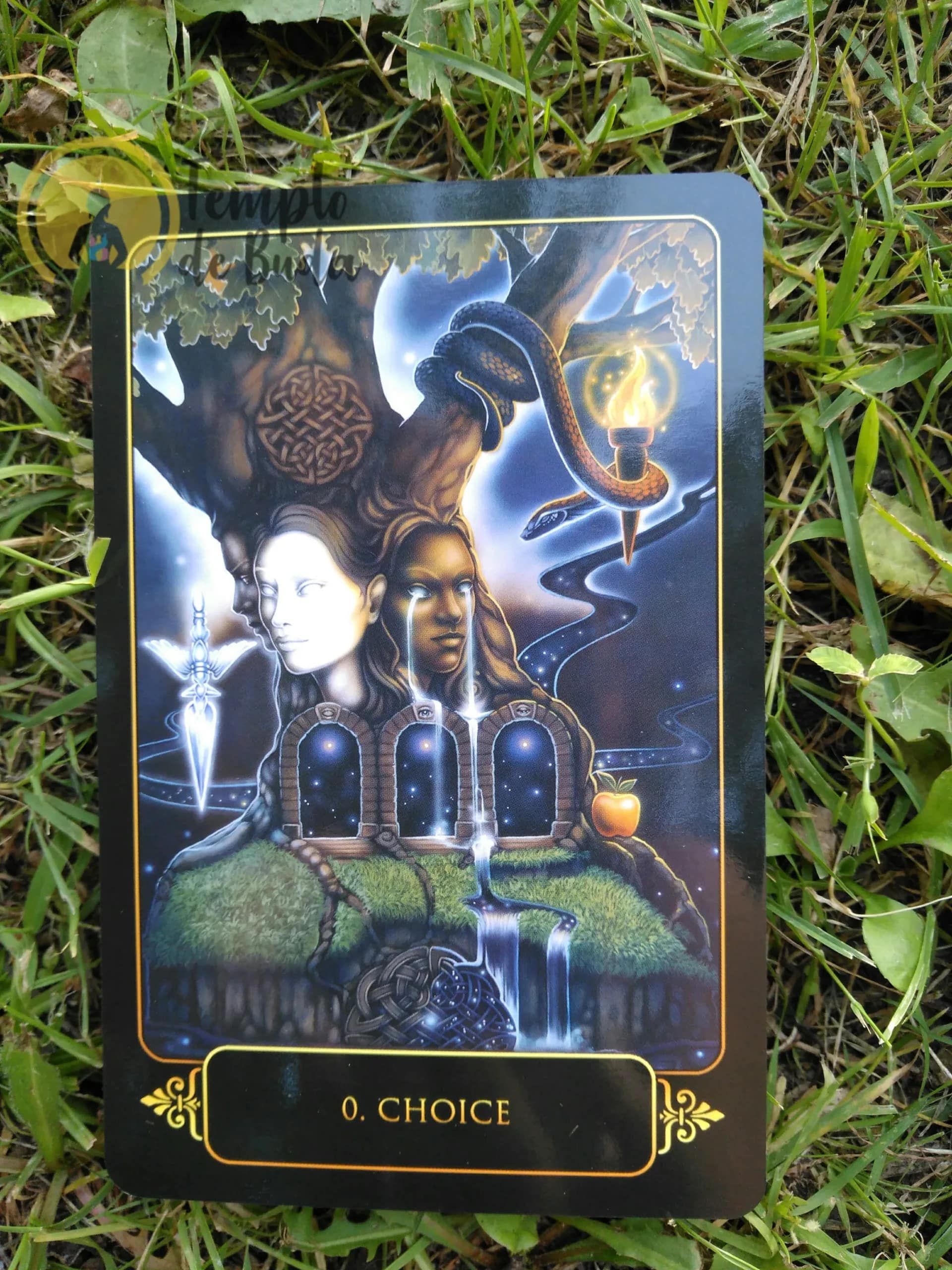 Tarot Sonhos de Gaia de Ravynne Phelan em Inglês