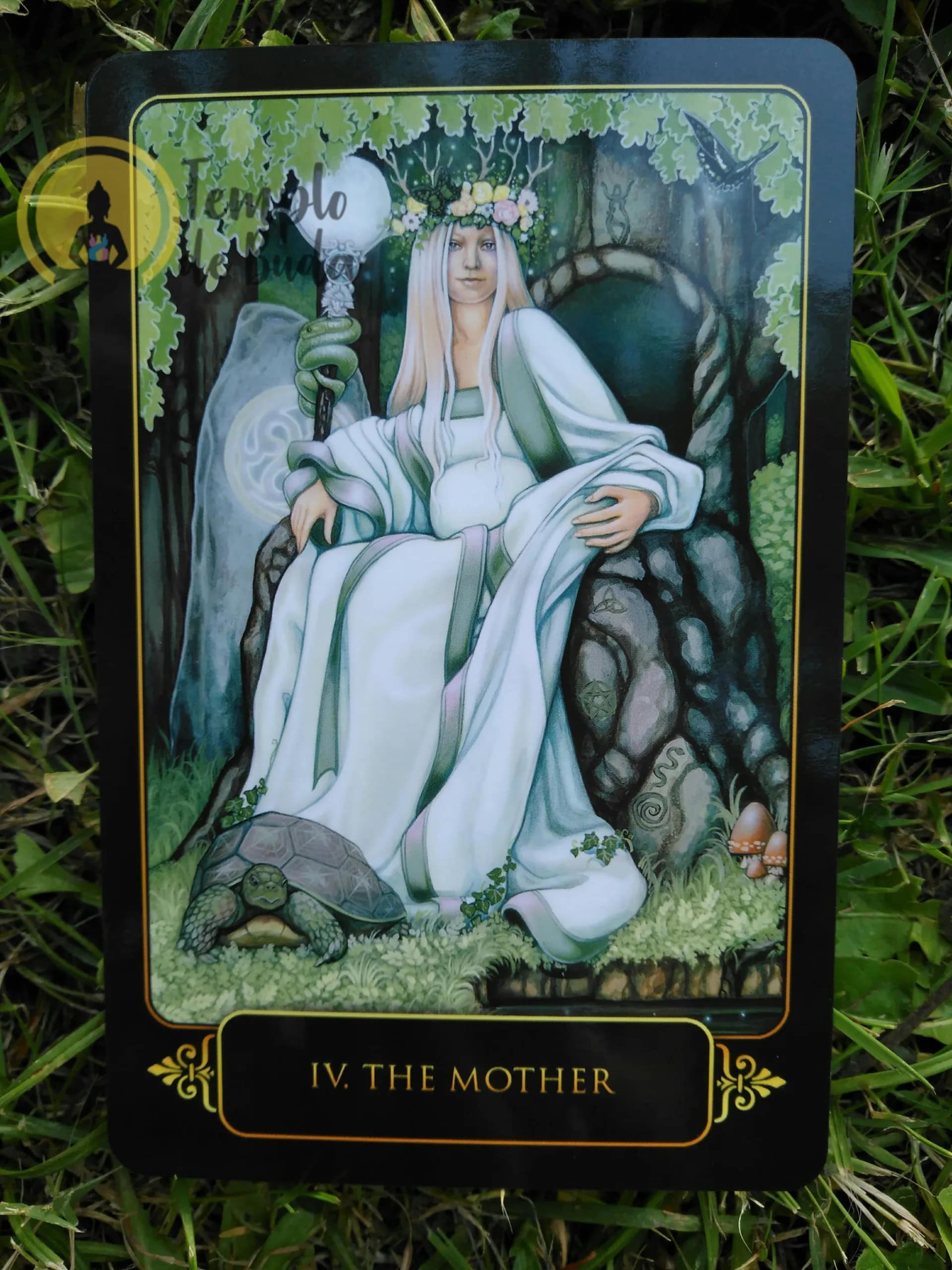 Tarot Sonhos de Gaia de Ravynne Phelan em Inglês