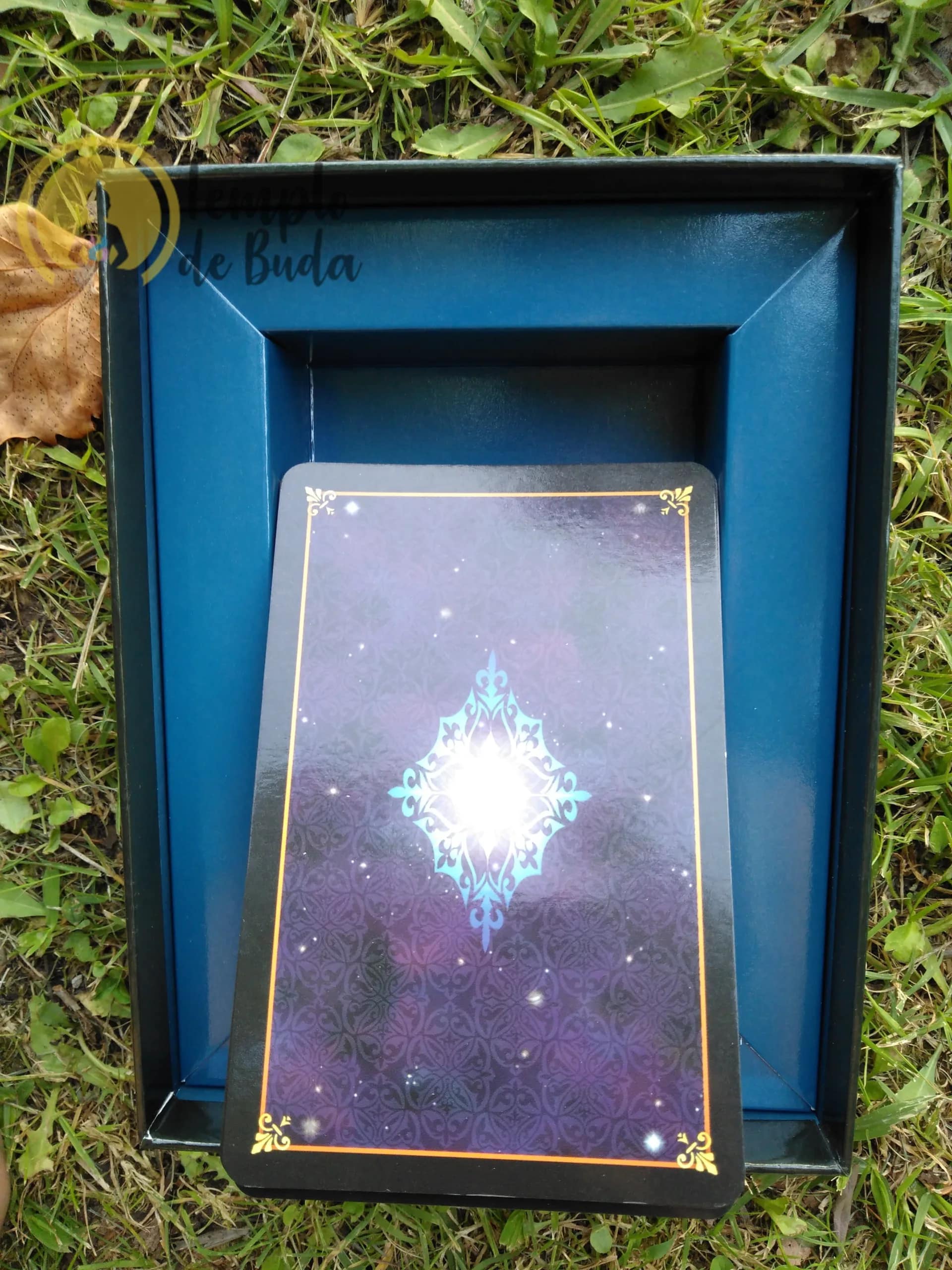 Tarot Sonhos de Gaia de Ravynne Phelan em Inglês