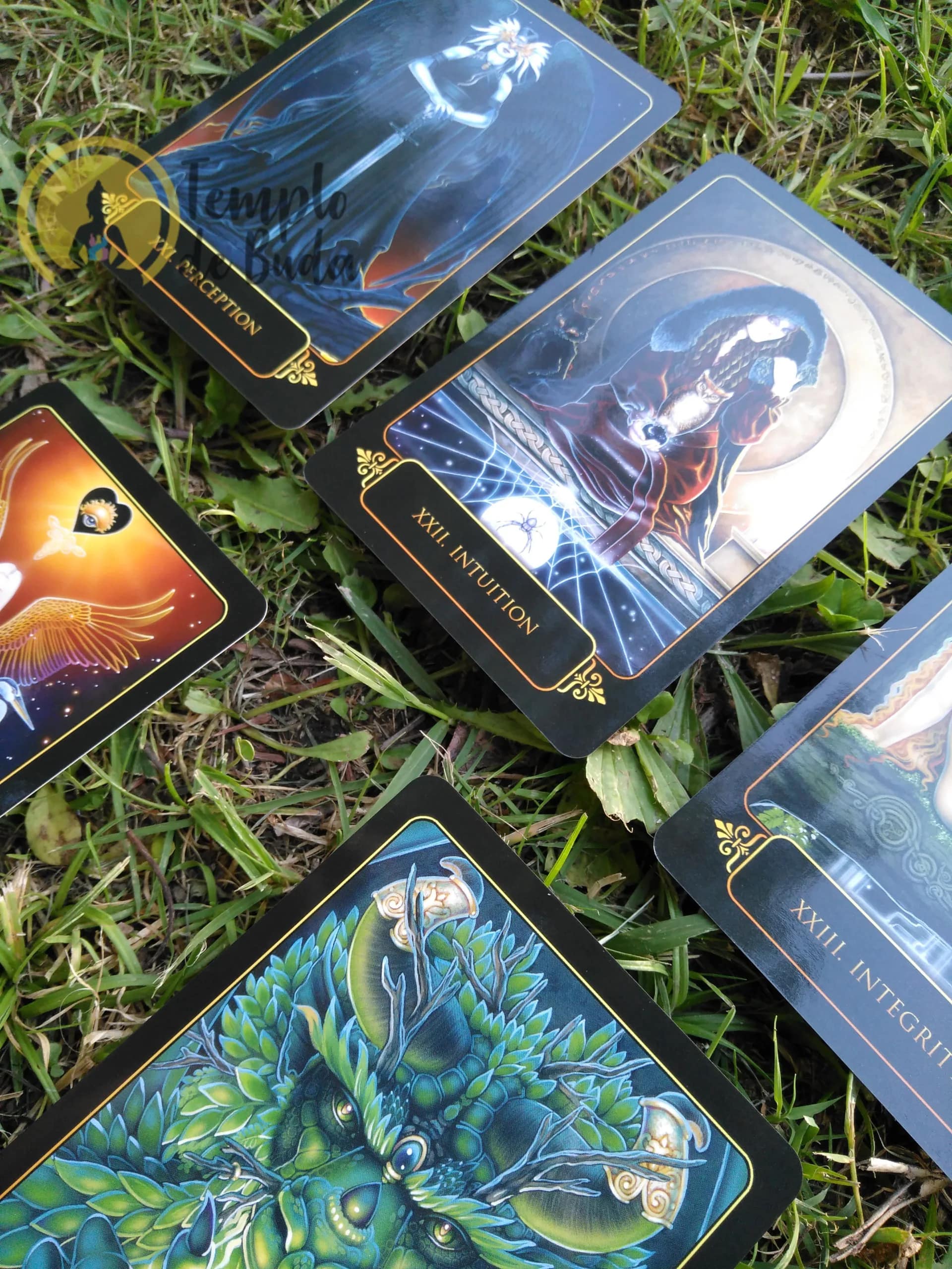 Tarot Sonhos de Gaia de Ravynne Phelan em Inglês