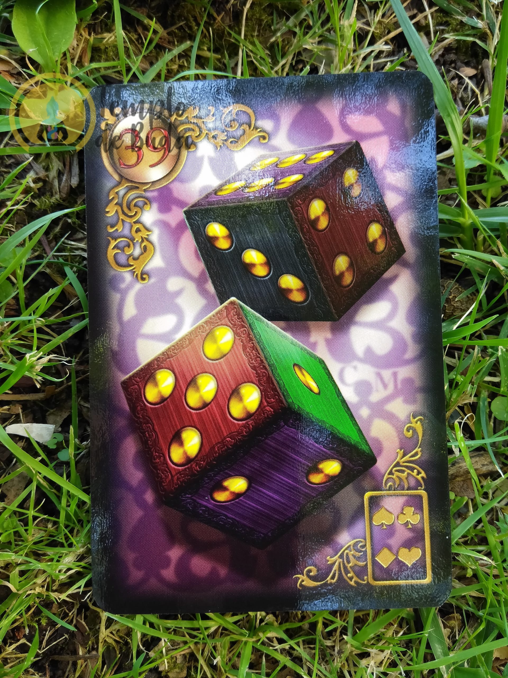 Lenormand Gilded Reverie de Ciro Marchetti (Edição Extra)